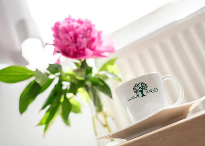 Domus Mariae Hostel Gietrzwałd